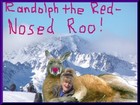 Picture for song 'Randolph The Red-Nosed Roo' by artist 'Simply Two'