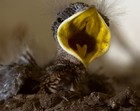Picture for song 'COMFORT (a tad harsh:)' by artist 'singular'