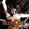 Picture for song 'December in Red' by artist 'Skinflick'