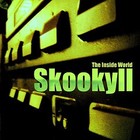 Picture for song 'The Inside World' by artist 'Skookyll'
