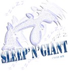 Picture for song 'UR HEAD (InstrumentaL)' by artist 'sleepngiant'