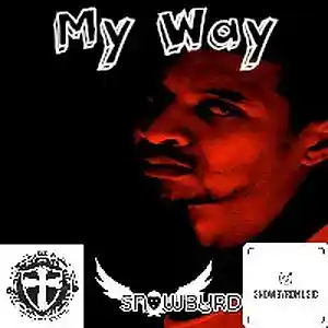 Picture for song 'My Way' by artist 'Snowbyrd'