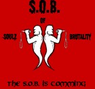 Picture for song 'str8 f*ck you' by artist 'soulz of brutality'