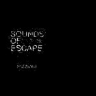 Picture for song 'Canon' by artist 'Sounds of Escape'