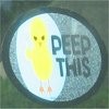 Picture for song 'CHECK IT OUT (FOR SALE!)' by artist 'SPARKZ MENTALZ'