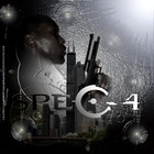 Picture for song 'The Limit' by artist 'Spec 4'