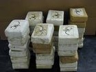 Picture for song 'Trunk Fulla Bricks' by artist 'Stand Out Music'