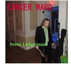 Picture for song ''MY LAST CHANUKAH'ON RICH RUSSO ANYTHING ANYTHING' by artist 'STEVE LIEBERMAN THE GANGSTA RABBI'