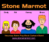 Picture for song 'Trapped In Y2K' by artist 'Stone Marmot'