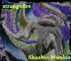 Picture for song 'The Spidily Fourdily Thirdest' by artist 'strangefire'