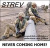 Picture for song 'Never Coming Home' by artist 'strev'
