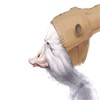 Picture for song 'mr_gnarles' by artist 'subunder'