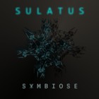Picture for song 'Human and Alien' by artist 'Sulatus'