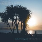 Picture for song 'In the sunshine' by artist 'Sunburn In Cyprus'
