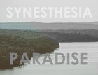Picture for song 'Synesthesia - Without You' by artist 'Synthesius'