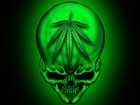 Picture for song '"alien invasion" TageAgainstTheMachine"' by artist 'TageAgainstMachine'