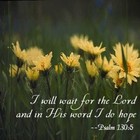 Picture for song 'Hiding Place' by artist 'Tammy Swindell'