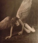 Picture for song 'FLY AGAIN' by artist 'tamsnumber4'