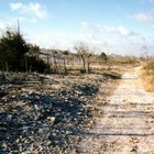 Picture for song 'The Outland Trail (Second Sojourn) - Part 1' by artist 'Teledhel Cuivienen'