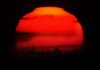 Picture for song 'Red Sun (Instrumental)' by artist 'The 9th Pentacle'
