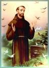 Picture for song 'St. Francis Among the Birds (Mateskatchewah)' by artist 'The Al Love Experience'