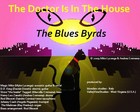 Picture for song 'The Doctor Is In The House' by artist 'The Blues Byrds'