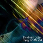 Picture for song 'Feelin' Kinda Dumb (The Na Na Song) (Acoustic)' by artist 'The Dream Project'