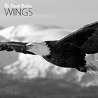 Picture for song 'Wings (FreeDL) *COME ON AND RAP SALE*' by artist 'The Drunk Barbies'