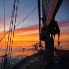 Picture for song 'West Winds' by artist 'The Electric Cow Bell Project'