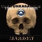 Picture for song 'THE MARROW' by artist 'MORRIS THE FUNKASAURUS'