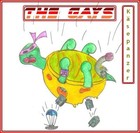 Picture for song 'Gekotzt wird spaeter' by artist 'The Gays'