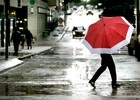 Picture for song 'RAINY DAYS' by artist 'THE ILLER'