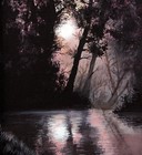 Picture for song 'Souls of the Night' by artist 'The Last Leaf'