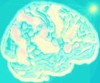 Picture for song '(We're All United) By Being And Consciousness' by artist 'The Nameless Composer'