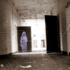 Picture for song 'Wandering' by artist 'The NULLL Collective'