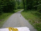 Picture for song 'Never Coming Back' by artist 'The Pine Mountain Whine Fountain'