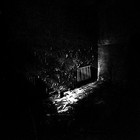 Picture for song 'In The Dark Room' by artist 'The Psychic Wardrobes'