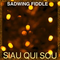 Picture for song 'Magic but Sadly Lost' by artist 'THE SADWING FIDDLE'