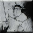 Picture for song 'Veiled and Flawed' by artist 'the silver cord'