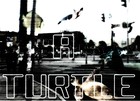 Picture for song 'A turtle' by artist 'The Snoot'