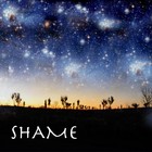 Picture for song 'Shame' by artist 'The Song Diner'