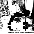 Picture for song 'An Excuse To Be Weak' by artist 'The Trying'