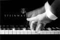 Picture for song 'The Piano Song' by artist 'The Useless Eaters'