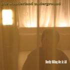 Picture for song 'The Reason' by artist 'The Wonderland Underground'