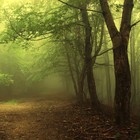 Picture for song 'The Scheme' by artist 'Thierry Vallerand'