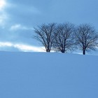 cover pic