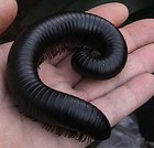 Picture for song 'Everything I Am is Now Everything I Was' by artist 'Three Thirty Eight'