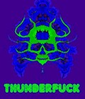 Picture for song 'Not Fragile (instrumental)' by artist 'Thunderfuck (US)'