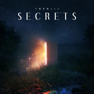 Picture for song 'Secrets' by artist 'TMBM313'