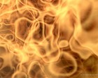 Picture for song 'Bringers of Light' by artist 'Tom Aragon'